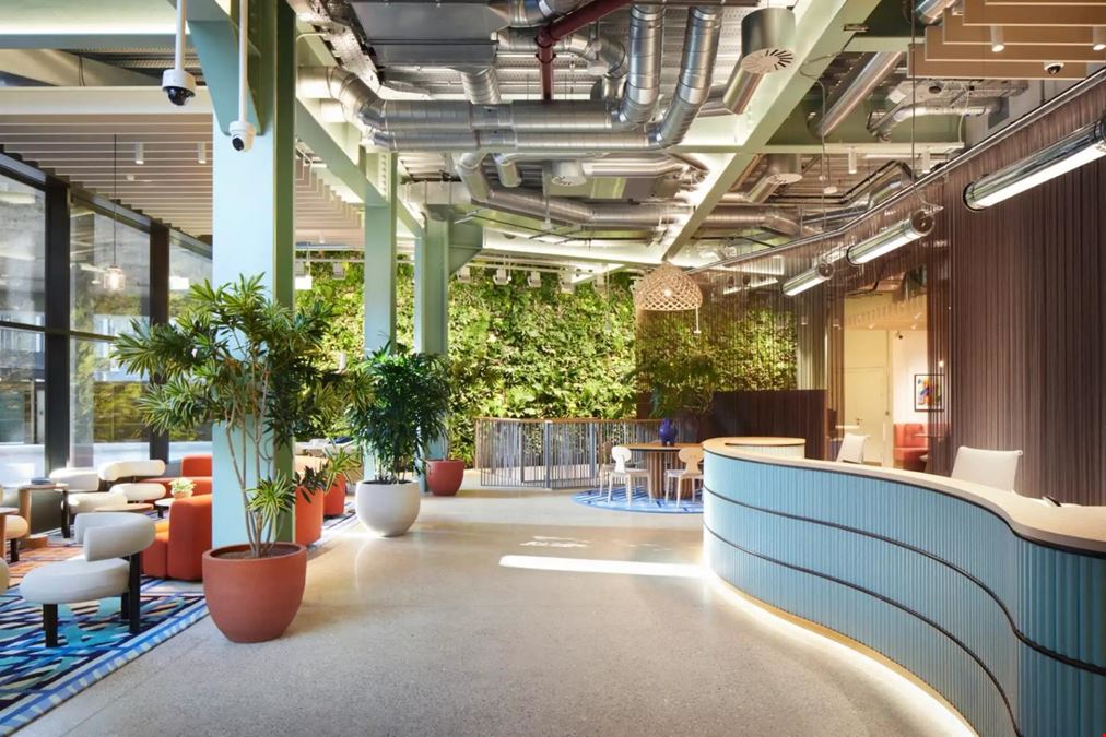 Fora - Shoreditch - Montacute Yards