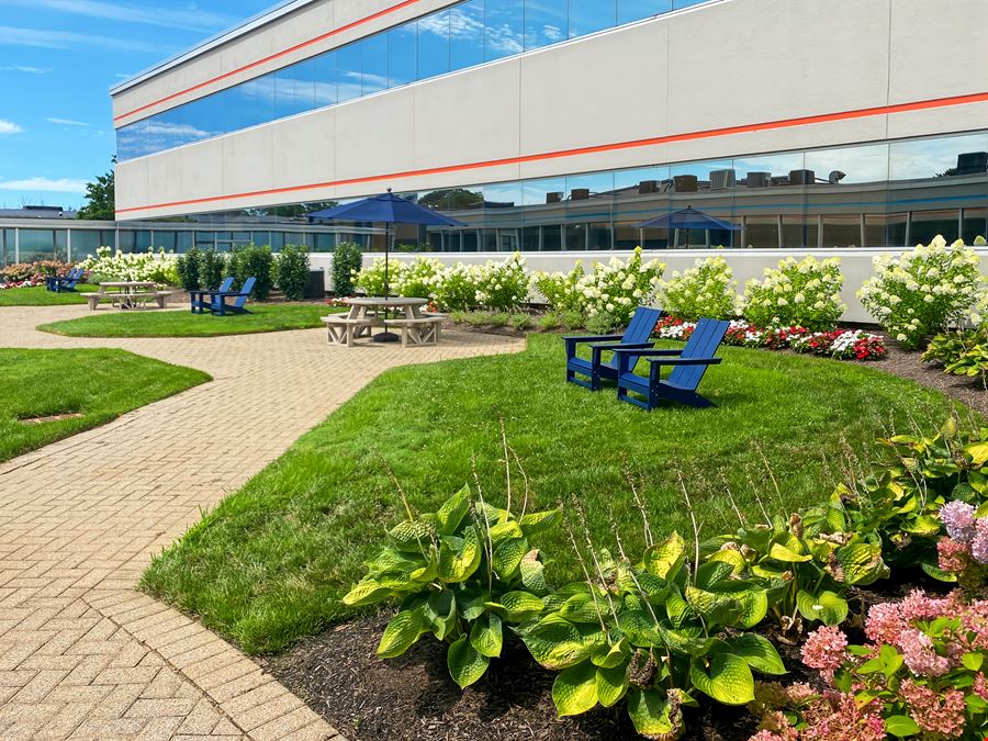 NJ, West Long Branch - Route 36