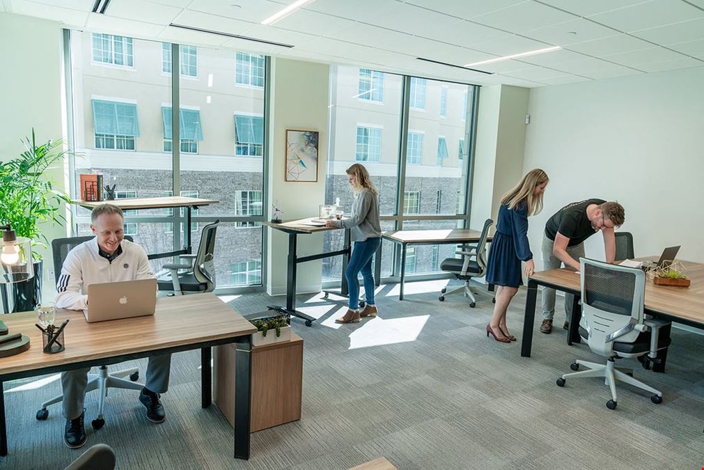 Serendipity Labs - Mount Pleasant