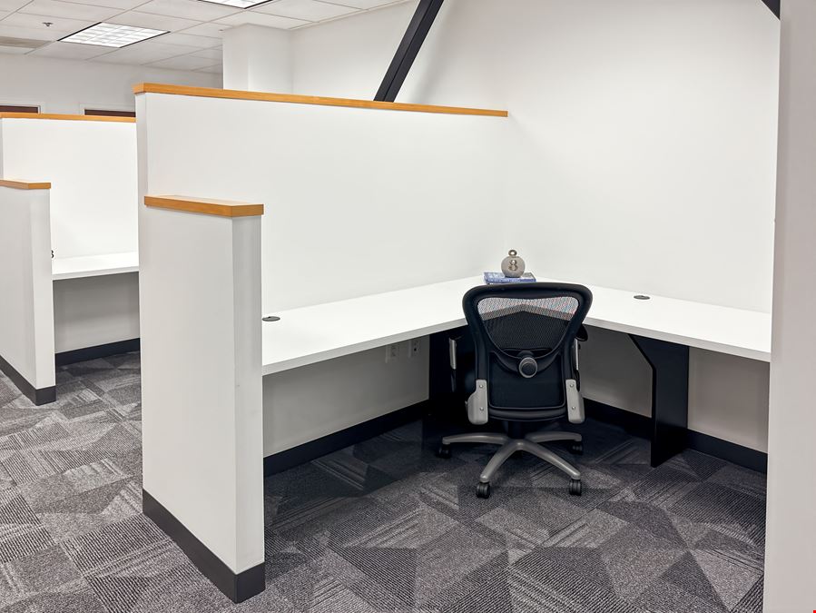 VA, Ashburn - Ashburn Rd