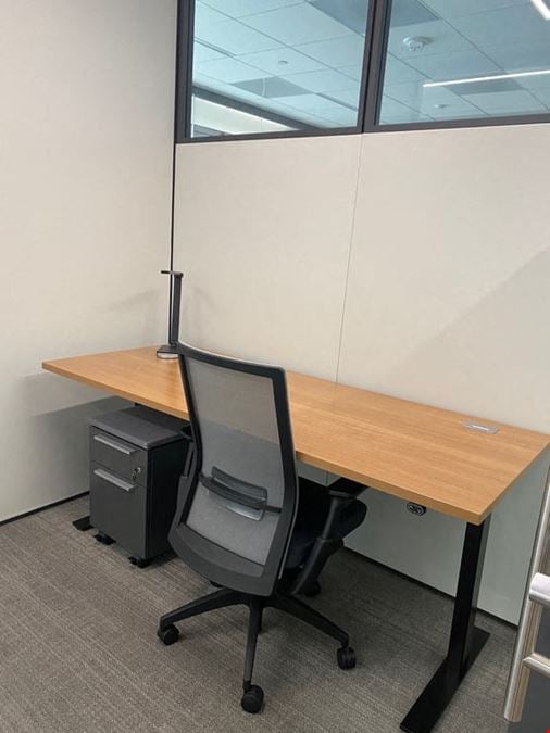 Private Day Office 1