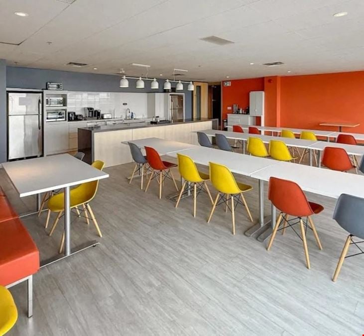 The Taste Room
