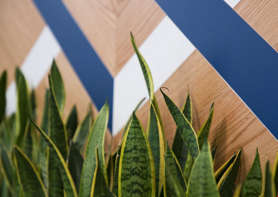 CA, San Francisco -  Levi's Plaza