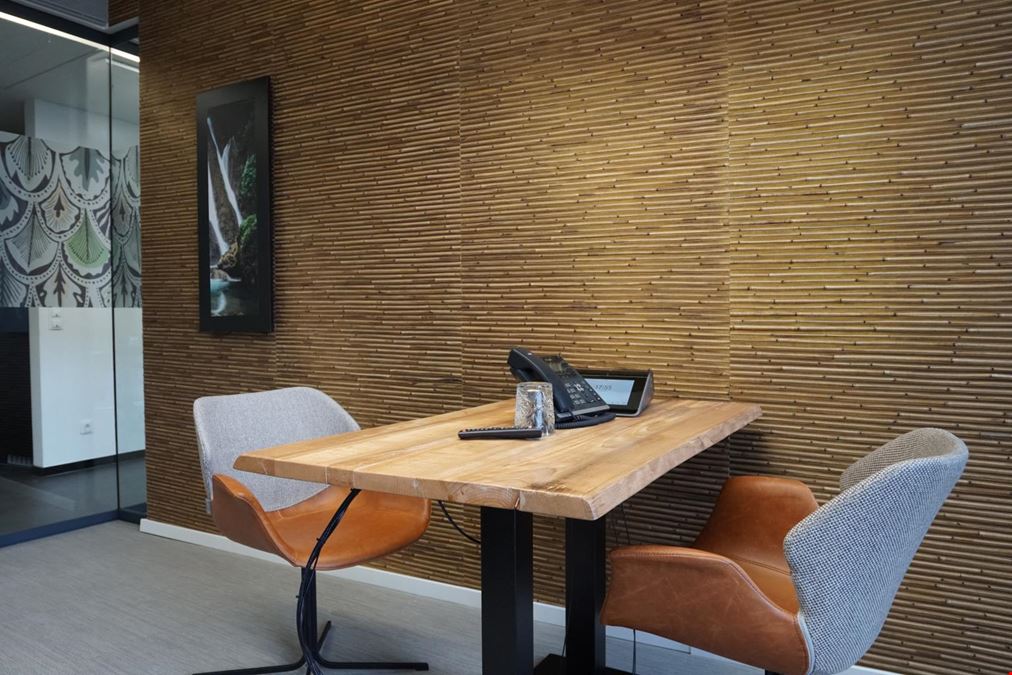 Tribes - Frankfurt Baseler