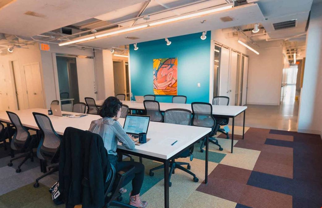 The Yard: Washington DC