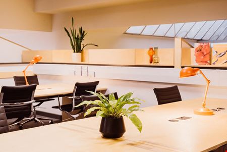 Preview of Platf9rm - Hove Town Hall Coworking space for Rent in Hove
