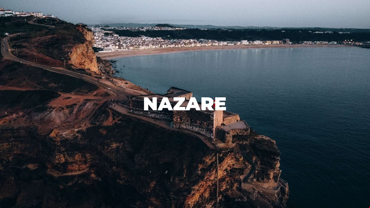 Octopus Concept Club