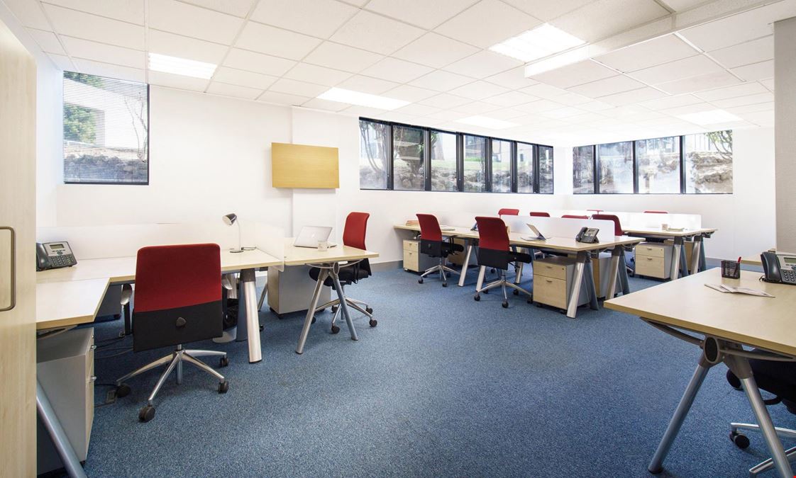 Lexington - La Moraleja