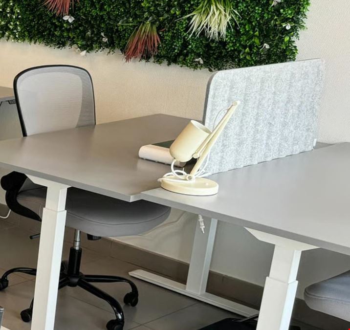 Le Silicone Valley Espace Candide