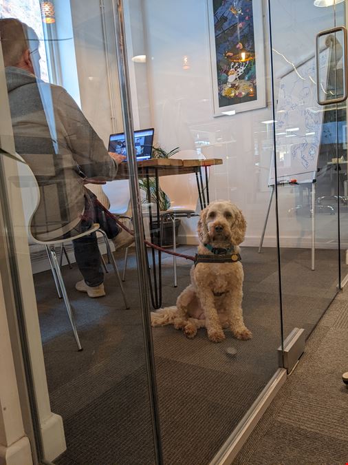 Generator Hub - The Gallery