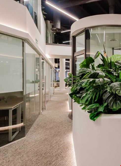 Coworking - Mérida