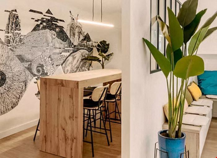 Lémurs Place du Jean-Jaurès