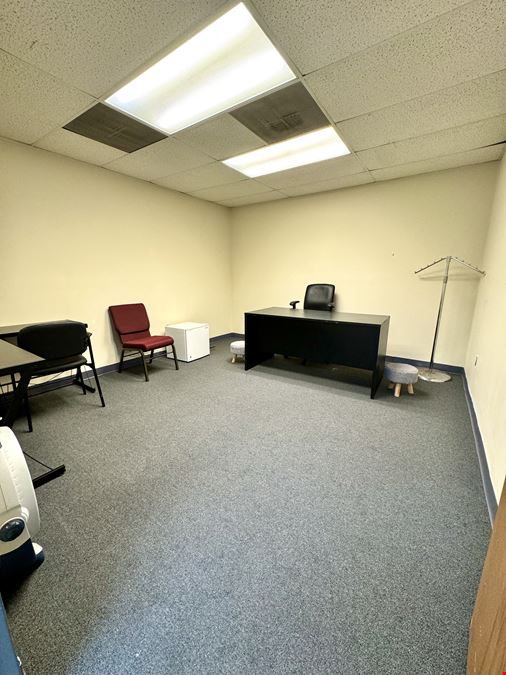 One Village Alliance, Freedom