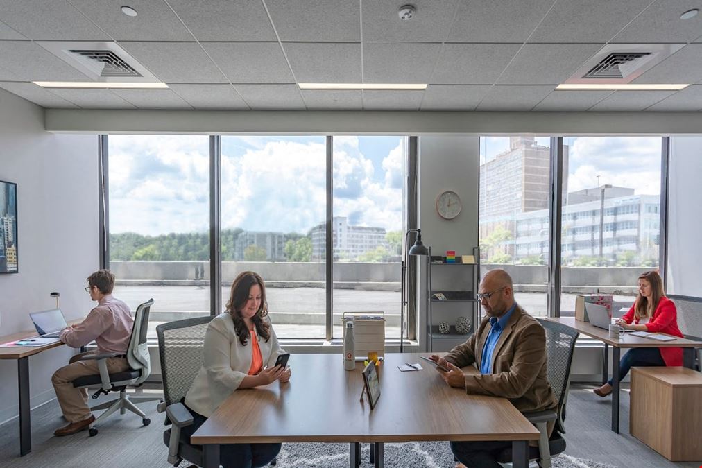 Serendipity Labs - White Plains