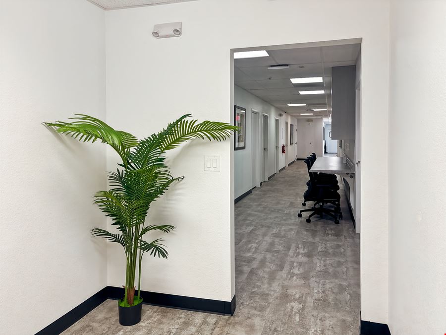 NV, Henderson - Mountain Vista St