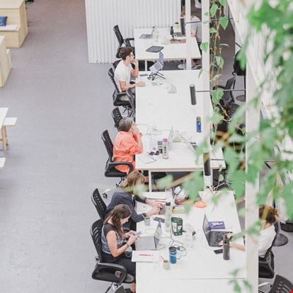 Preview of Huerta Coworking - Dorrego Office space for Rent in Buenos Aires