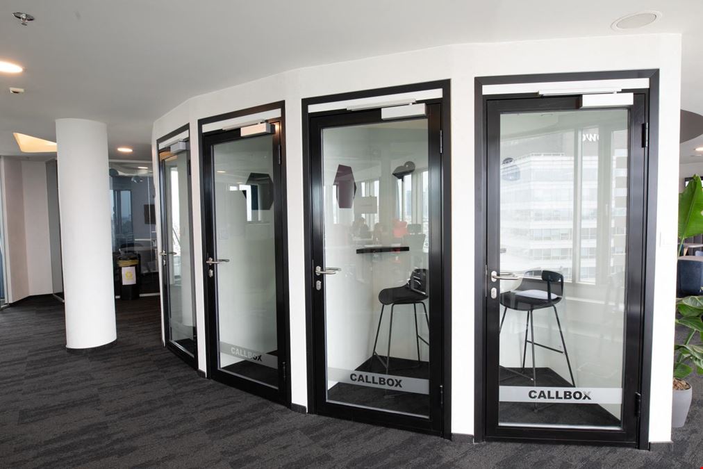 BeIN Offices Zebra White