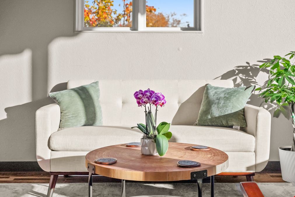 Modern Cowork Toccoa