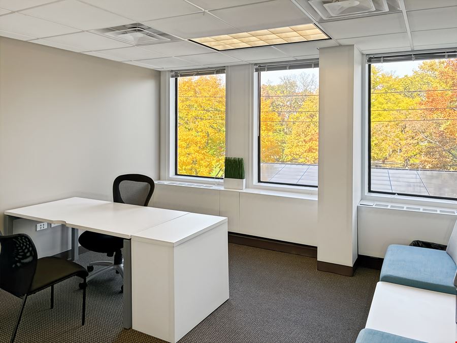 IL, Oak Park - Oak Park