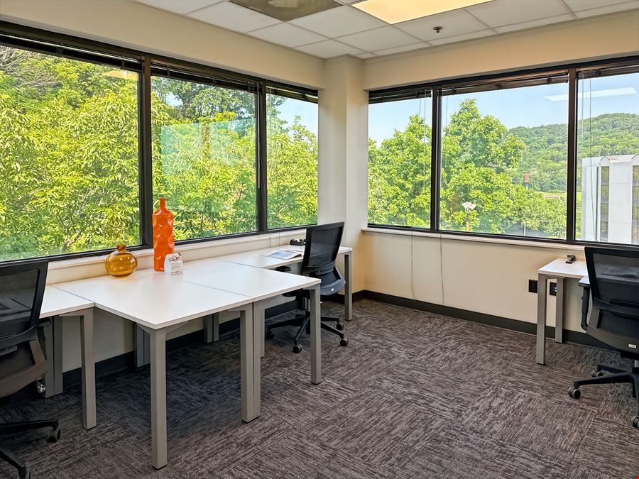 TN, Brentwood - Summit View Drive