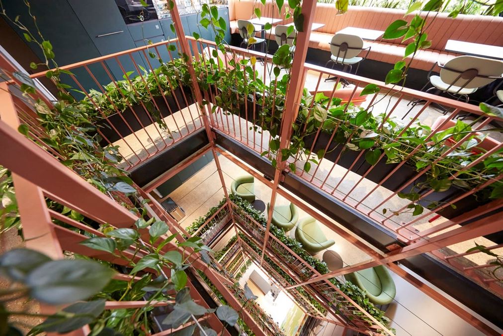 Clockwise - Wood Green