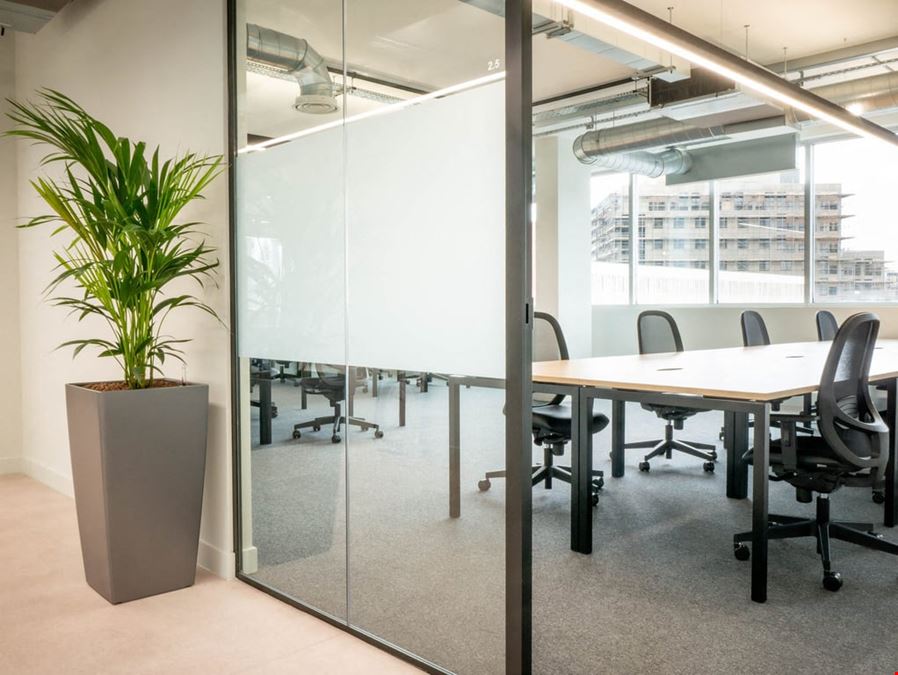 The Quad - ONE Lexicon