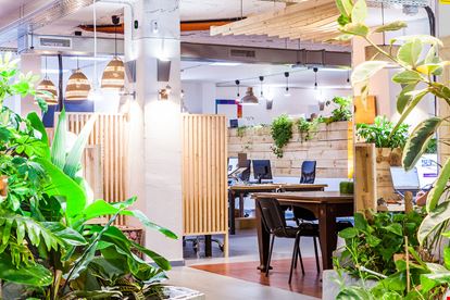 Preview of cómodo&co - Arxiduc Office space for Rent in Palma de Mallorca