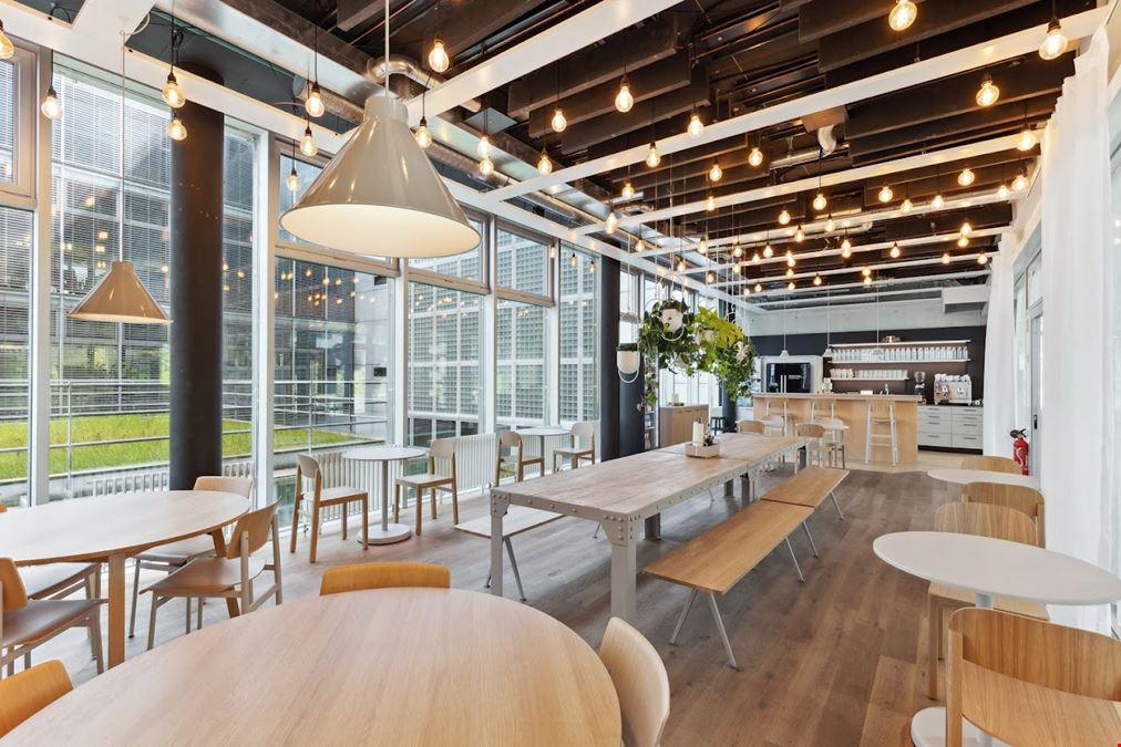 FlexOffice Zürich Dino - Office Space & Workspace Für Dein Team