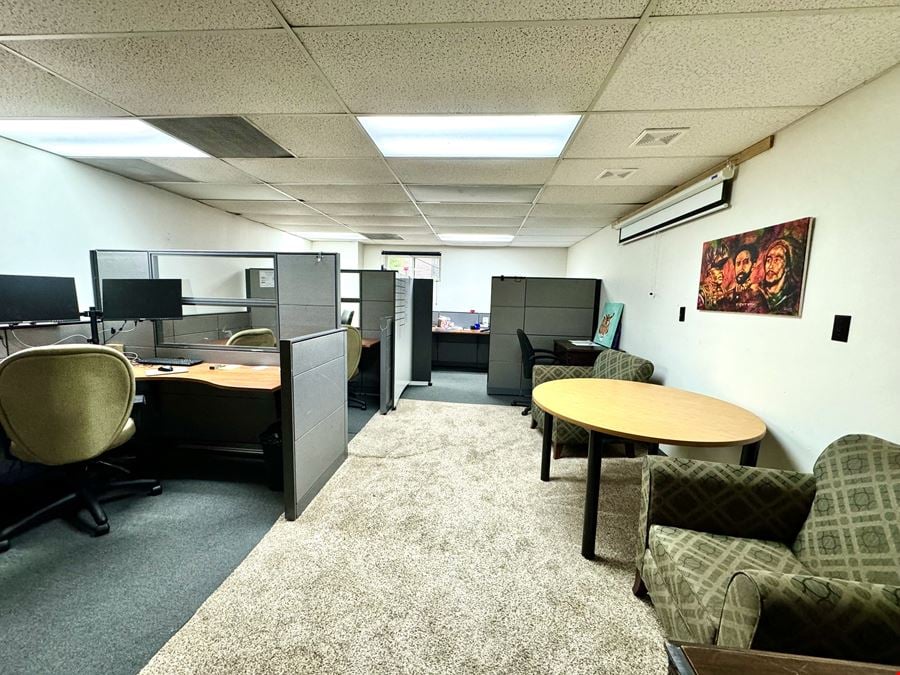 One Village Alliance, Freedom