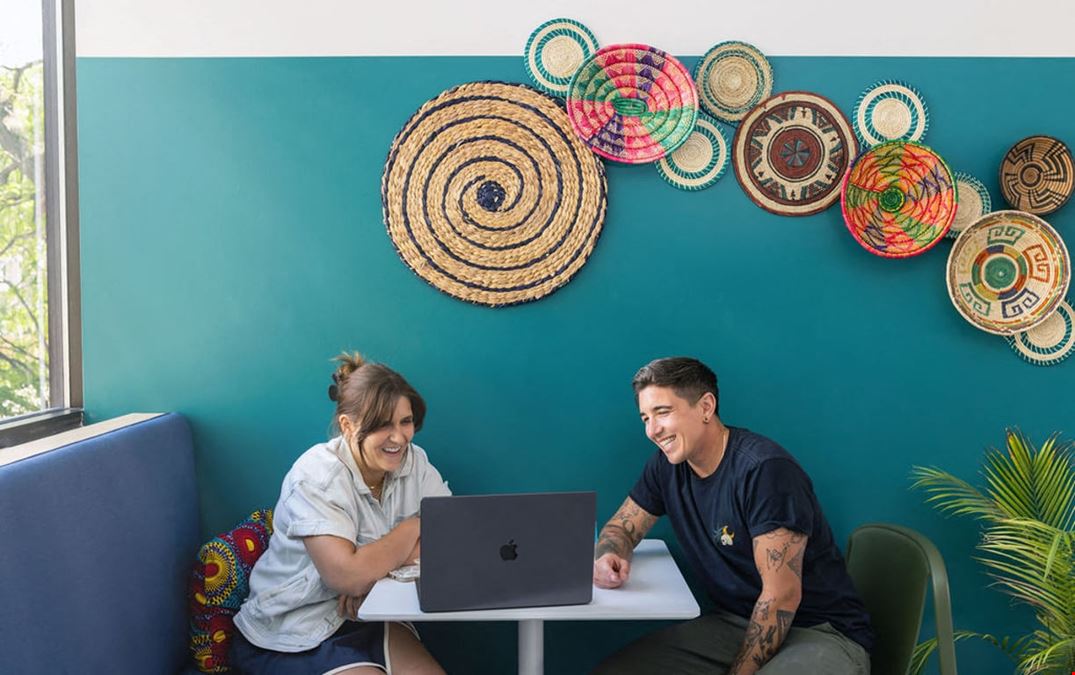 The Coven - Northeast