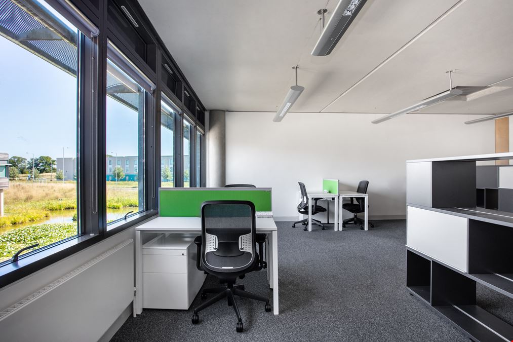 Basepoint - Great Marlings