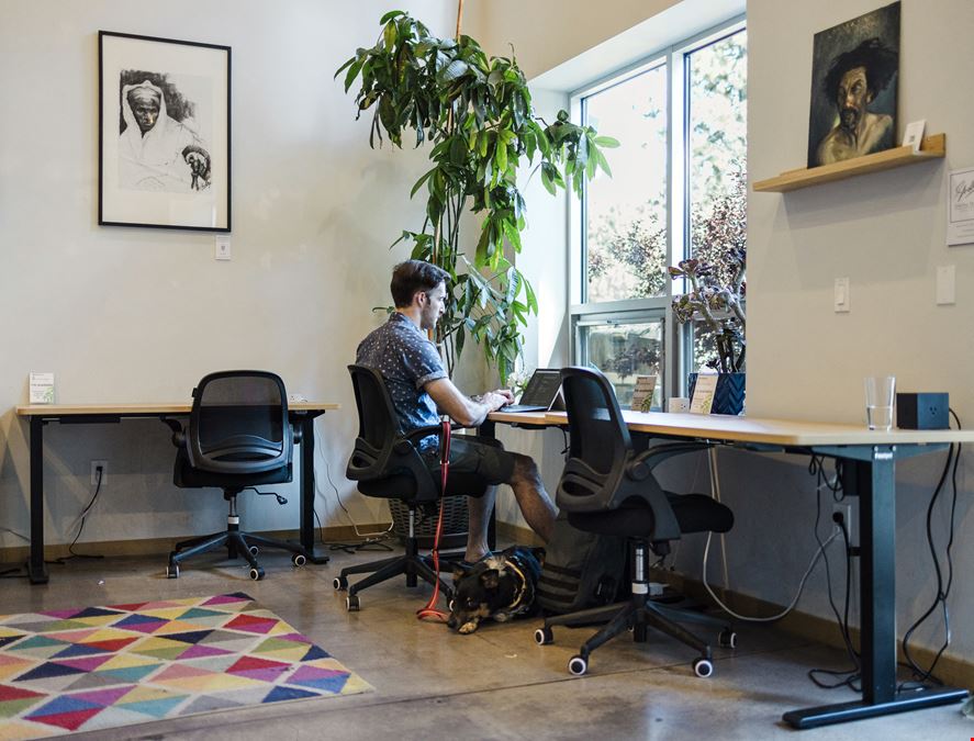 Cowork Tahoe