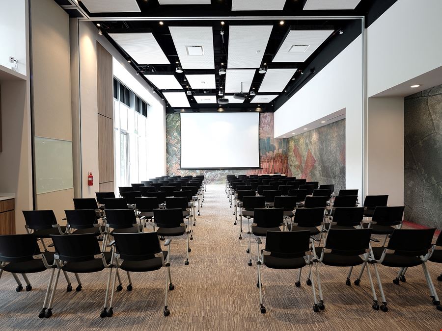 The Work Project - Ascent