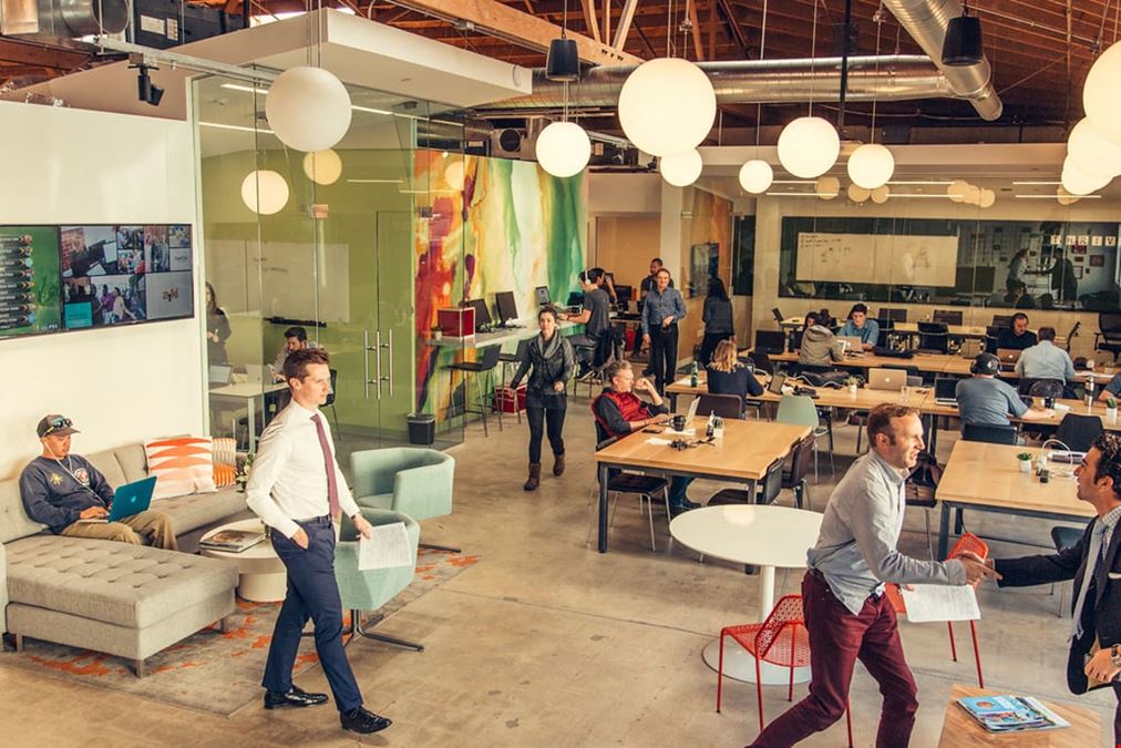 Bizhaus - El Segundo