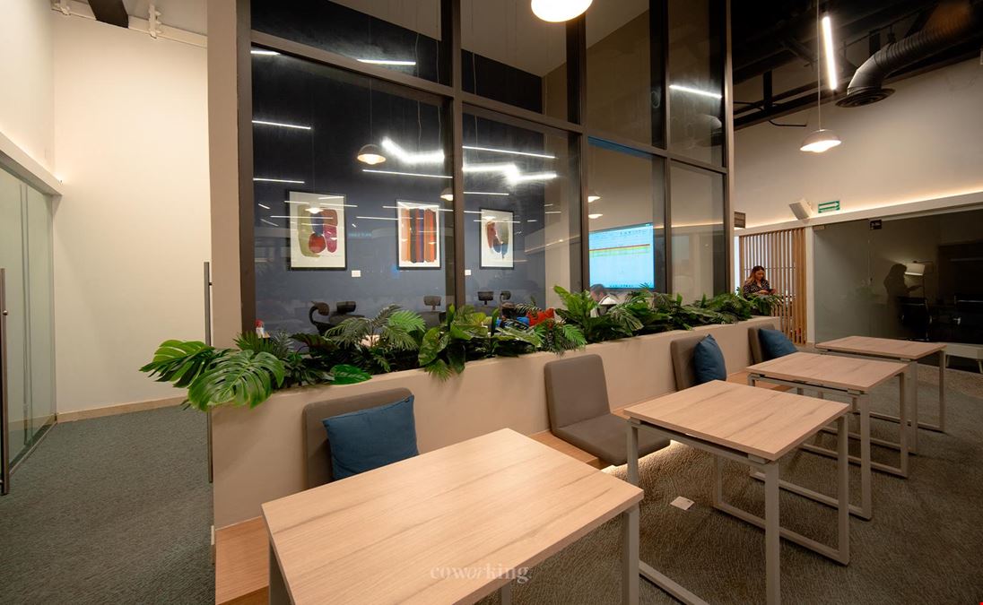 Coworking - Mérida