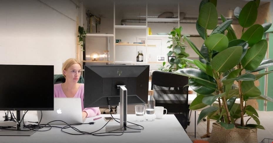 Friday Cowork - Zwijndrecht