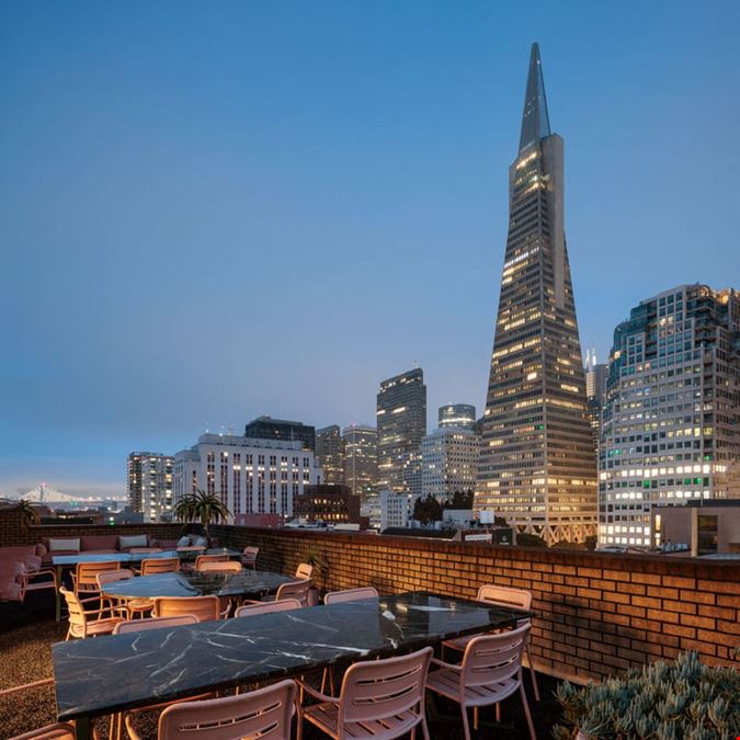 CANOPY - Jackson Square