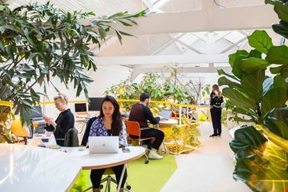 Preview of Second Home - Holland Park Office space for Rent in London