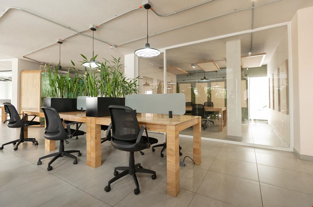 Semilla Café Coworking