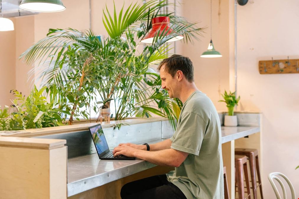 The Brew -  Eagle House