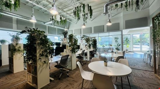 Verdani Partners office