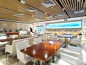 Southern Airline Golden/Sliver Card Member Lounge 3 Daxing International Airport Main Terminal