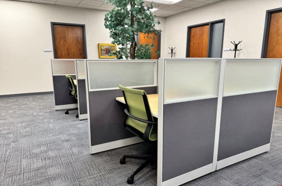 Coworking Flex Desk