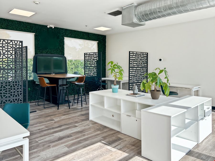 TX, Spring - Budde Road