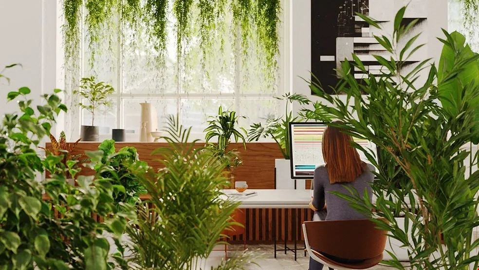 Grasshoppers ~ Eco-work Space - INDUS