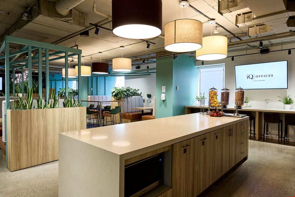 iQ Offices – 222 Queen Street