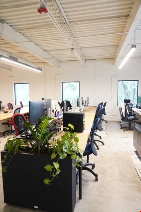 Tigerlabs