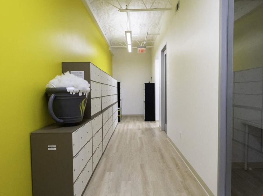 Muze Office Las Vegas