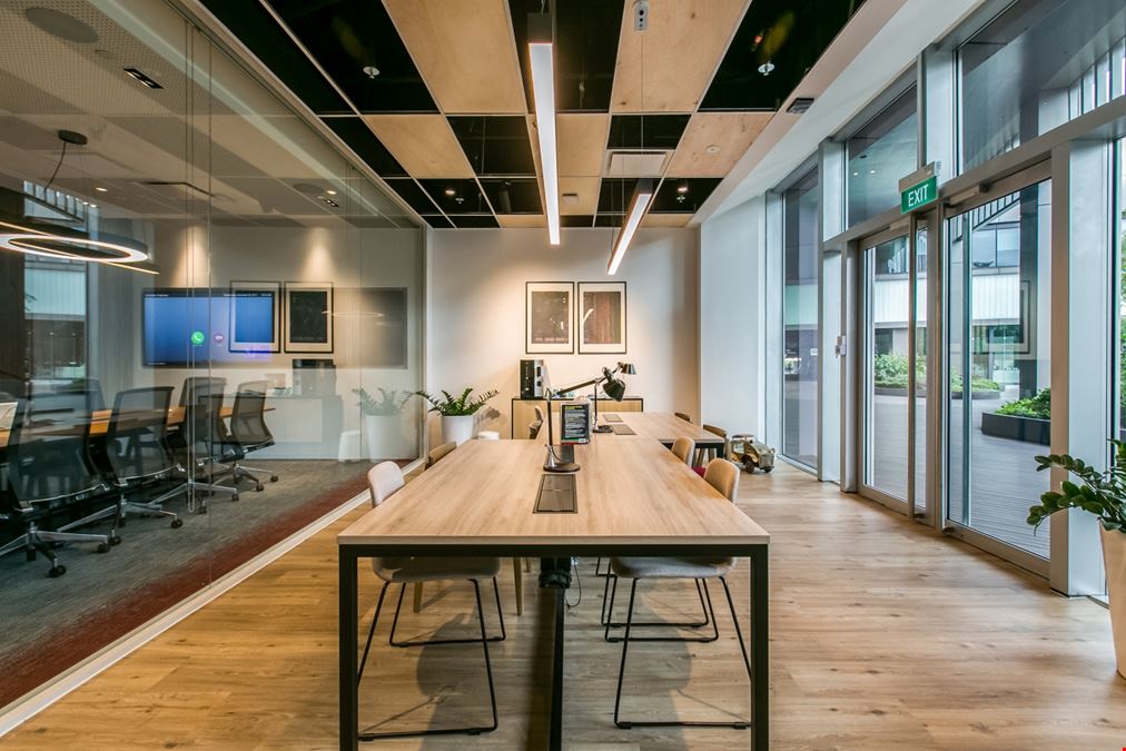 The Work Project - Ascent