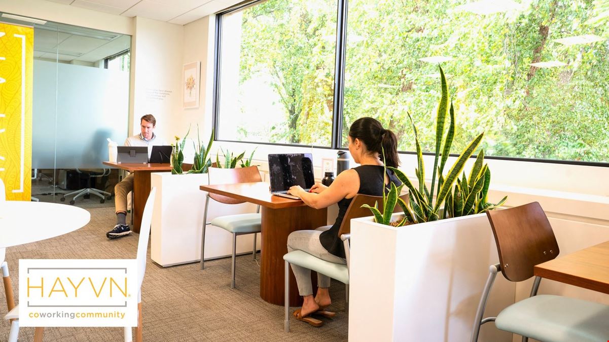 HAYVN - Coworking Greenwich